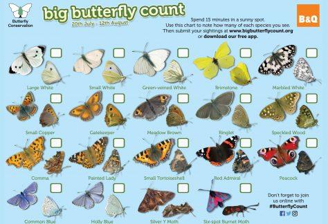 99999 Butterly Conservation Chart Artwork 2018.indd